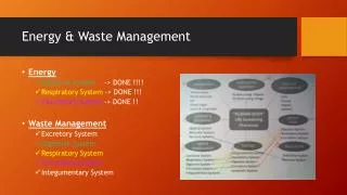 Energy &amp; Waste Management