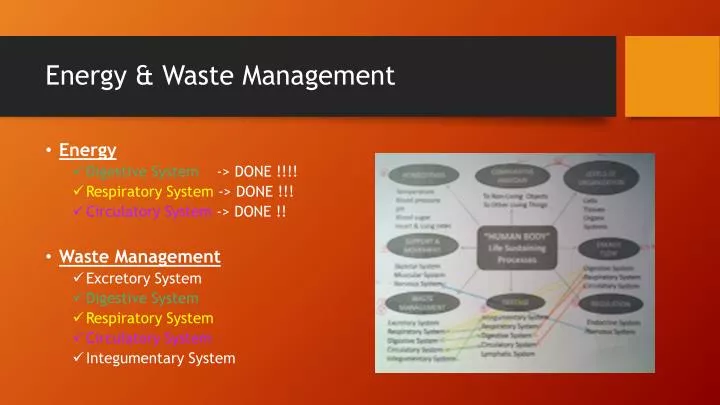 energy waste management