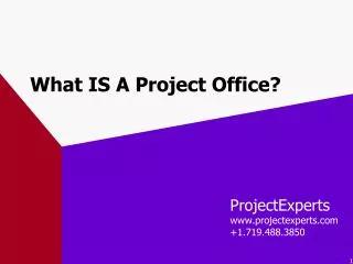 What IS A Project Office?