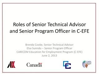 Roles of Senior Technical Advisor and Senior Program Officer in C-EFE