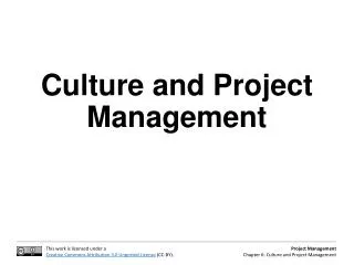 culture and project management