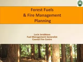 Lucie Jerabkova Fuel Management Generalist Coastal Fire Centre