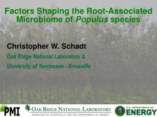 Factors Shaping the Root-Associated Microbiome of Populus species