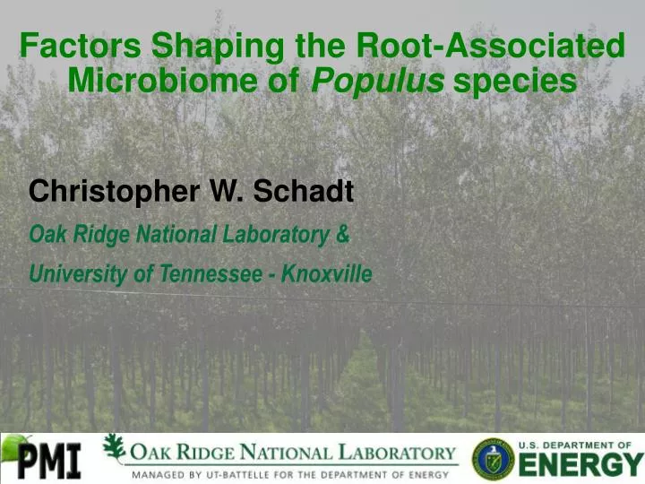 factors shaping the root associated microbiome of populus species