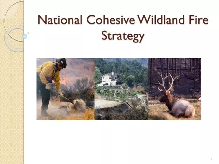national cohesive wildland fire strategy