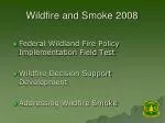 Wildfire and Smoke 2008