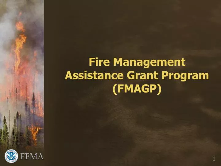 fire management assistance grant program fmagp