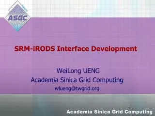 SRM- iRODS Interface Development