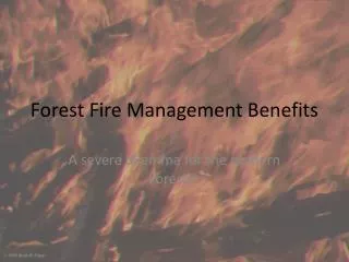 Forest Fire Management Benefits