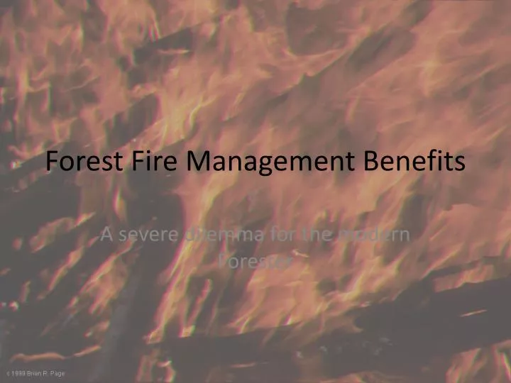 forest fire management benefits