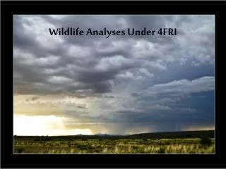 Wildlife Analyses Under 4FRI