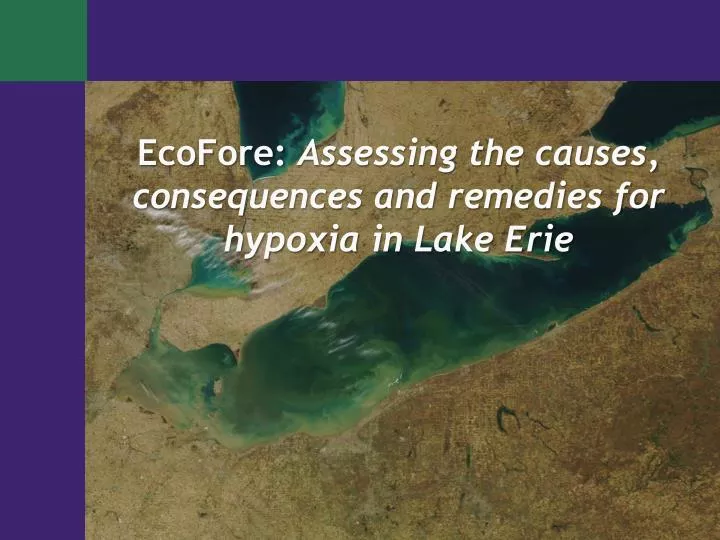 ecofore assessing the causes consequences and remedies for hypoxia in lake erie