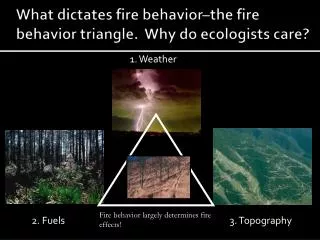 What dictates fire behavior–the fire behavior triangle. Why do ecologists care?