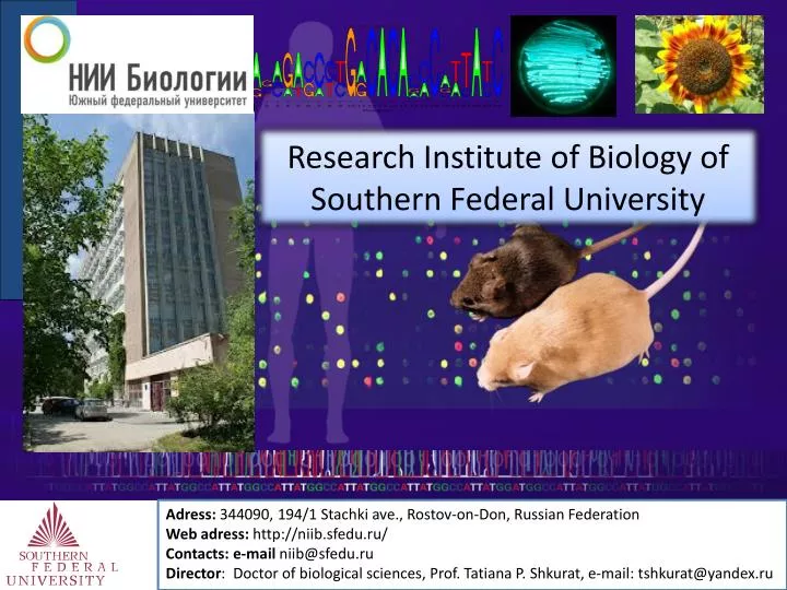 research institute of biology of southern federal university