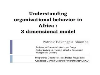 Understanding organizational behavior in Africa : 3 d imensional model