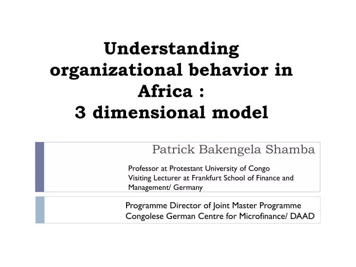 understanding organizational behavior in africa 3 d imensional model