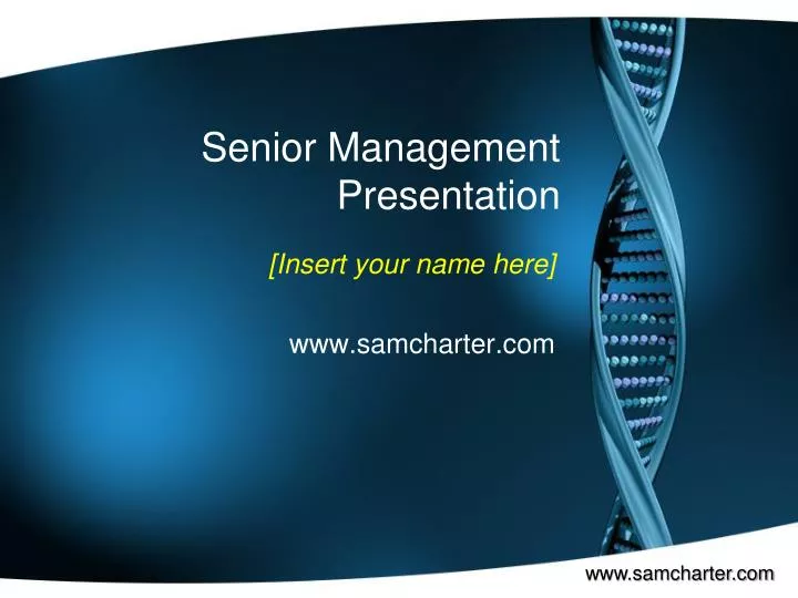 senior management presentation