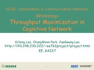 EE726 Optimization in Communication Networks -Workshop- Throughput Maximization in Cognitive Network