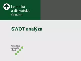 SWOT analýza