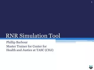 RNR Simulation Tool