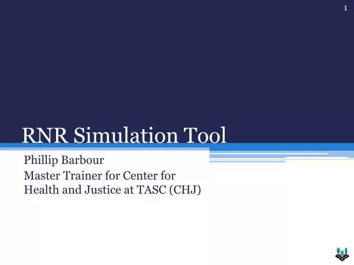 rnr simulation tool