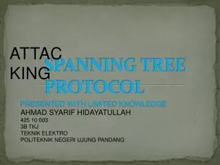 SPANNING TREE PROTOCOL