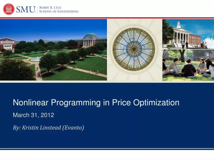 nonlinear programming in price optimization