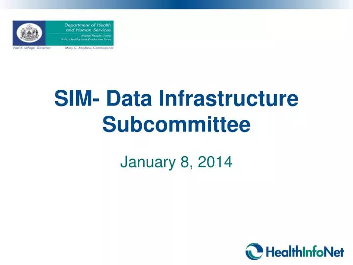 sim data infrastructure subcommittee