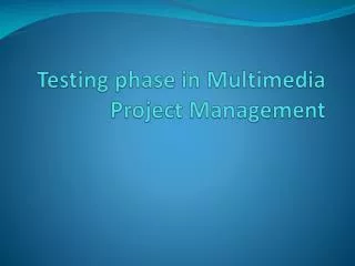 Testing phase in Multimedia Project Management