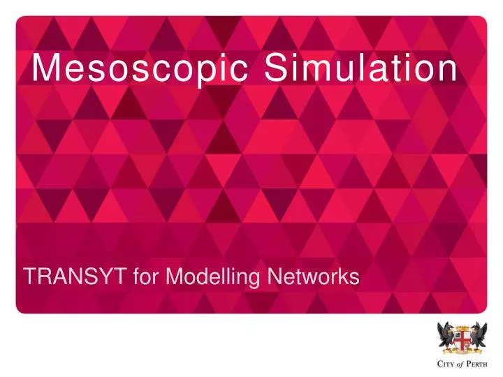 mesoscopic simulation