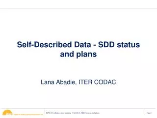 Self-Described Data - SDD status and plans
