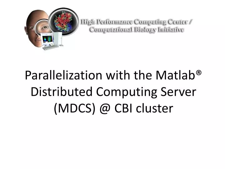 parallelization with the matlab distributed computing server mdcs @ cbi cluster