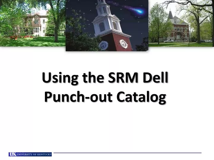 using the srm dell punch out catalog
