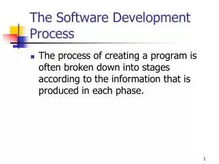 The Software Development Process