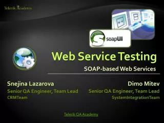 Web Service Testing
