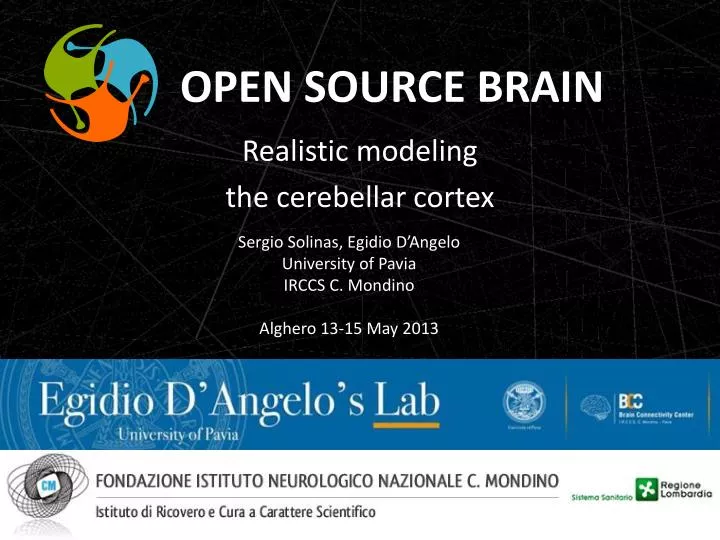 realistic modeling the cerebellar cortex