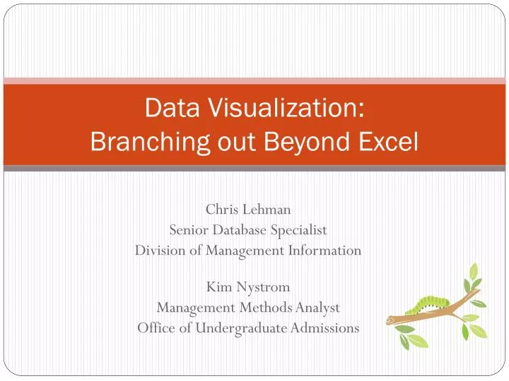 data visualization branching out beyond excel
