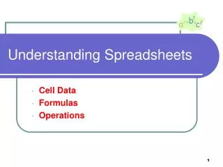Understanding Spreadsheets