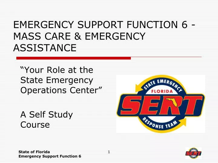 emergency support function 6 mass care emergency assistance