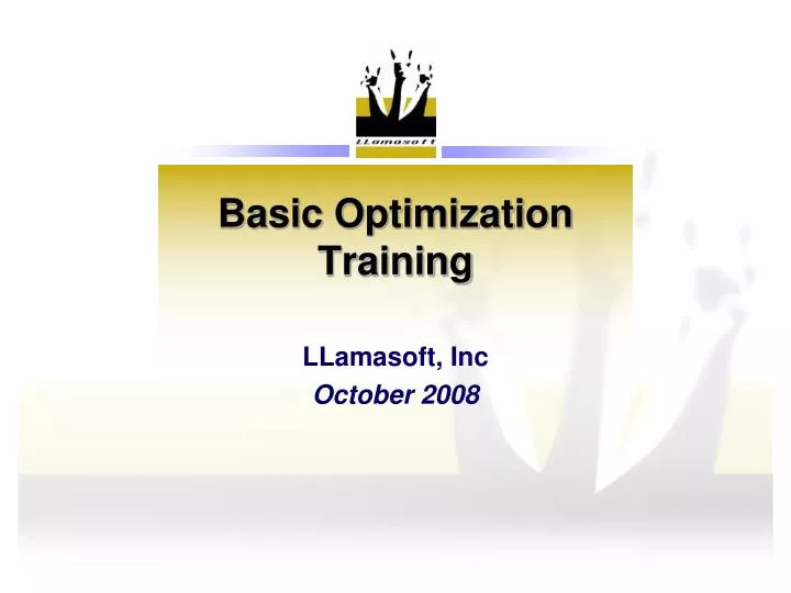 basic optimization training