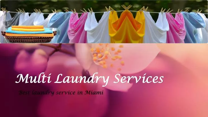 multi laundry services