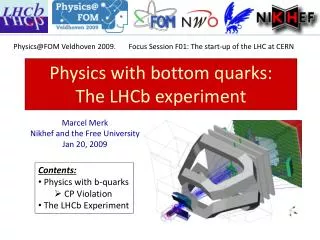 Physics with bottom quarks: The LHCb experiment
