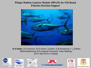 Pelagic Habitat Analysis Module (PHAM) for GIS Based Fisheries Decision Support