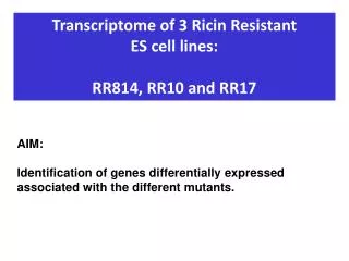 Transcriptome of 3 Ricin Resistant ES cell lines: RR814, RR10 and RR17