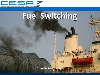 Fuel Switching Lanfranco Benedetti - CESA Tripartite 2010 - Tokyo
