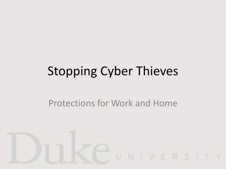 stopping cyber thieves