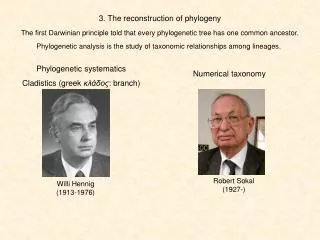 3. The reconstruction of phylogeny