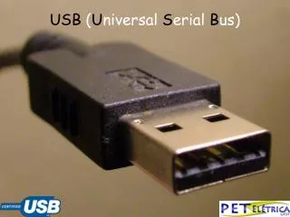 USB ( U niversal S erial B us)