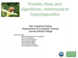 Flowers, Bees, and Algorithms: Adventures in Cophylogenetics