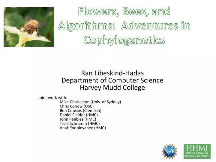 flowers bees and algorithms adventures in cophylogenetics